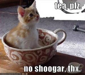 SCD kitty knows shoogar iz badz